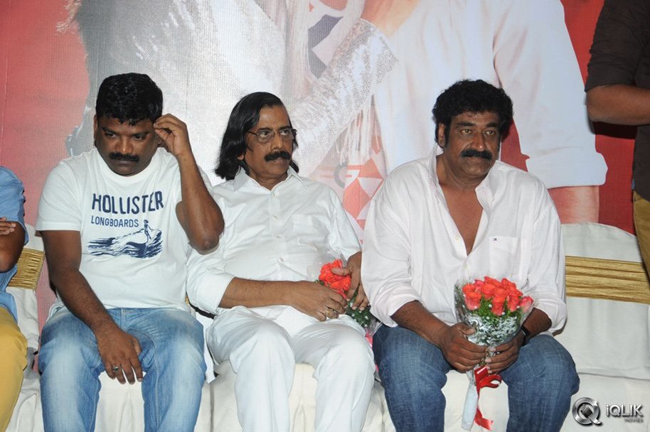 Alludu-Seenu-Movie-Platinum-Disc-Function
